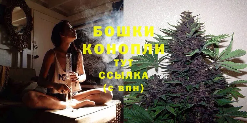 Бошки Шишки THC 21%  кракен ССЫЛКА  Владивосток  где купить наркоту 